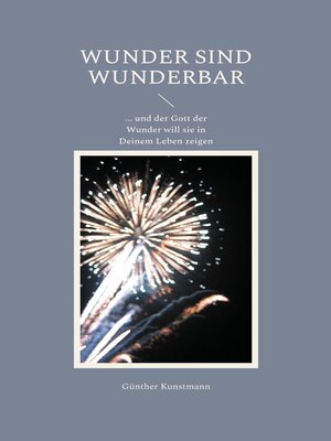 cover image of Wunder sind wunderbar